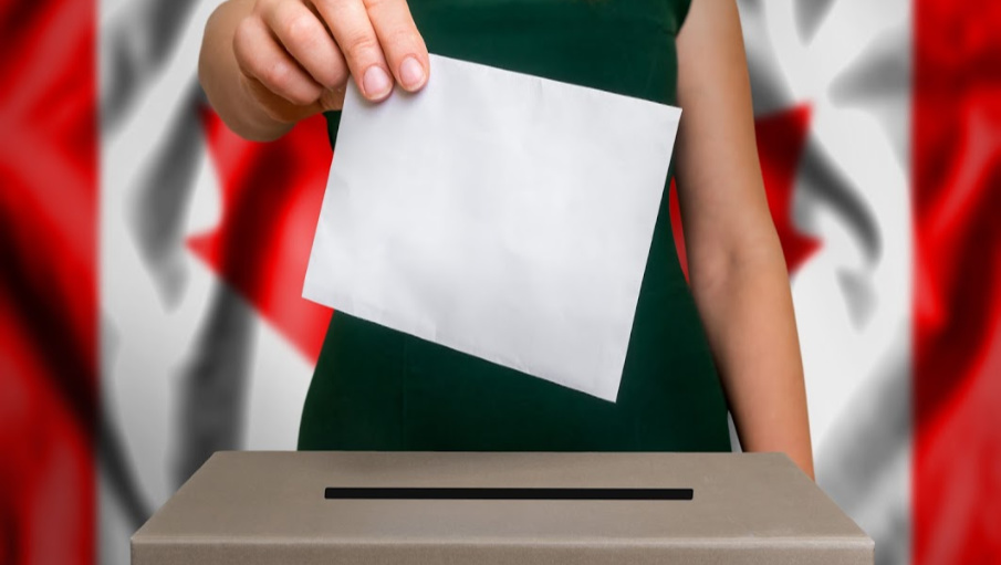 2019 Federal Election: Here's What You Need to Know 