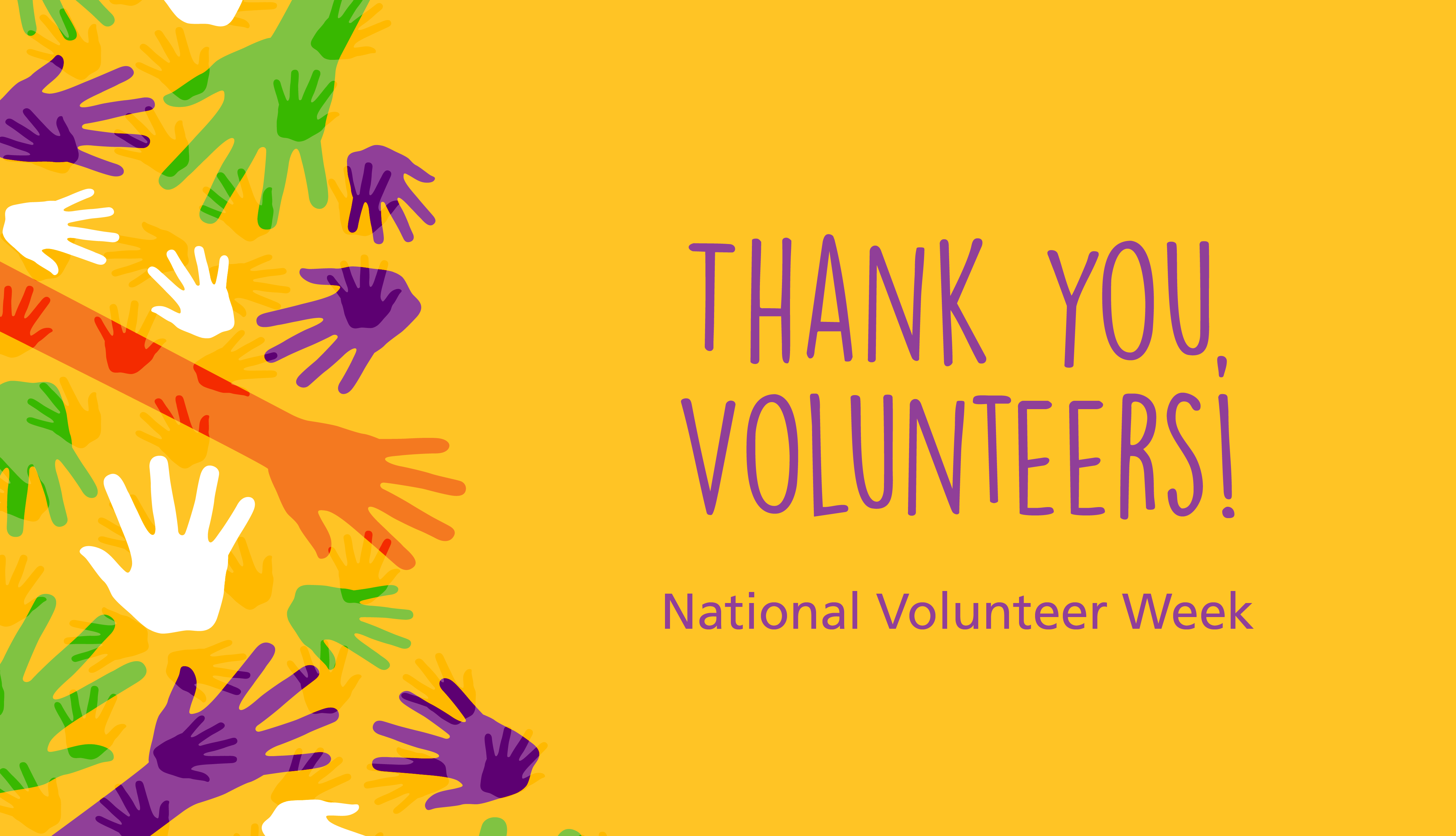 Celebrating Our Volunteers: Making a Difference Together