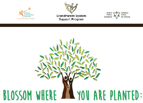 Blossom Where You Are Planted: A Conference For Grandparents Parenting Again
