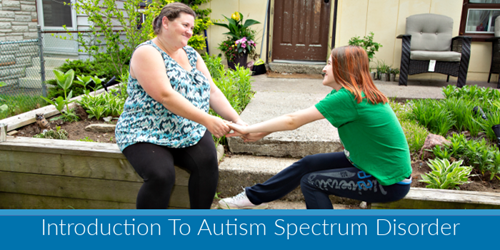 Kerry's Place - (FFS) Introduction to Autism Spectrum Disorder - Online