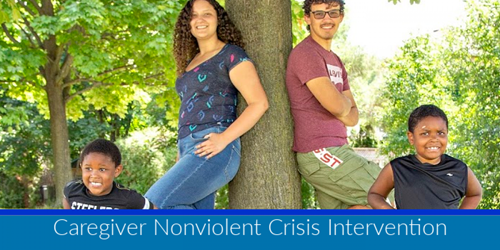 Kerry's Place - (FFS) Caregiver Nonviolent Crisis Intervention - Online