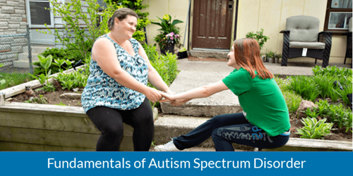 Kerry's Place - (FFS) Fundamentals of Autism Spectrum Disorder - Online